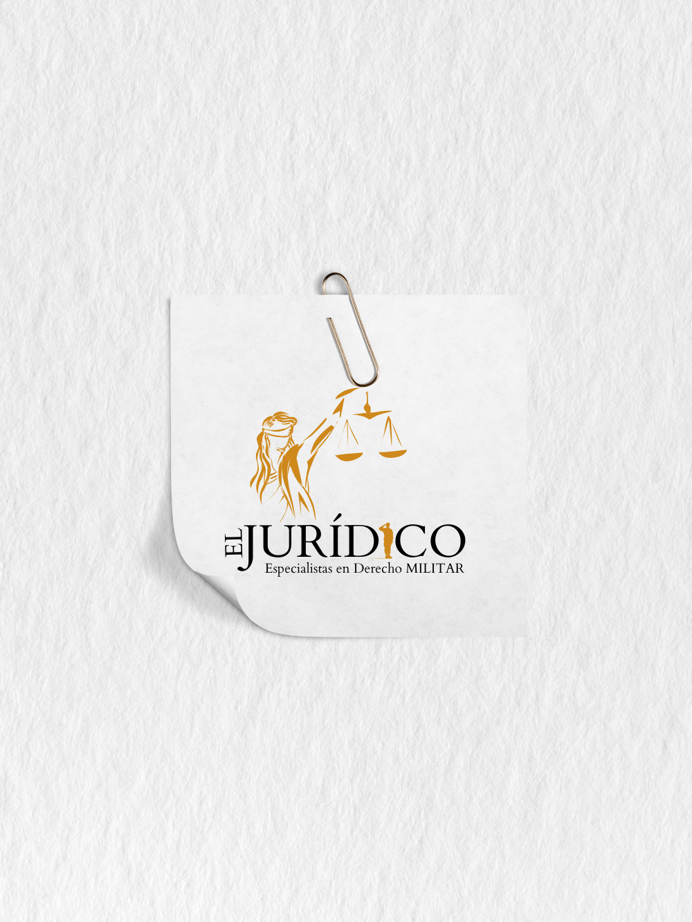 Trayectoria Jurídica